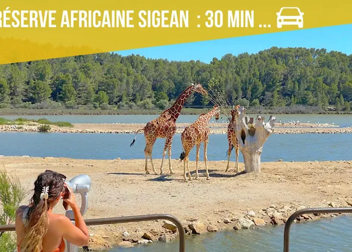 Fleur Australe Apartamento *